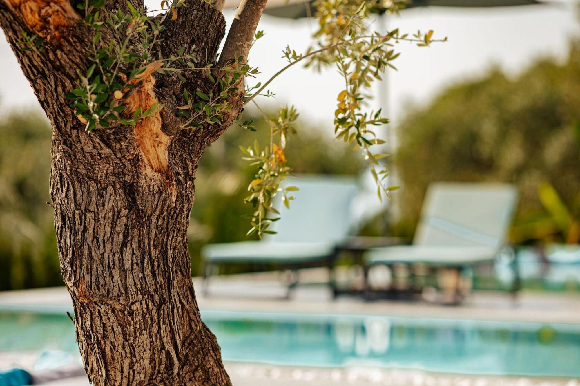 Nooa Villas Skala Rachoni  Exterior foto